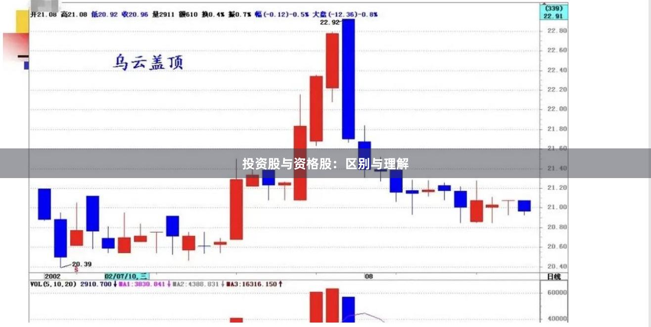 投资股与资格股：区别与理解