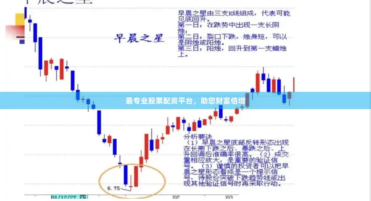 最专业股票配资平台，助您财富倍增