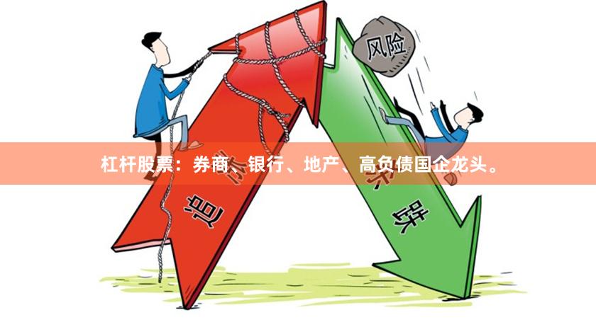 杠杆股票:券商、银行、地产、高负债国企龙头。