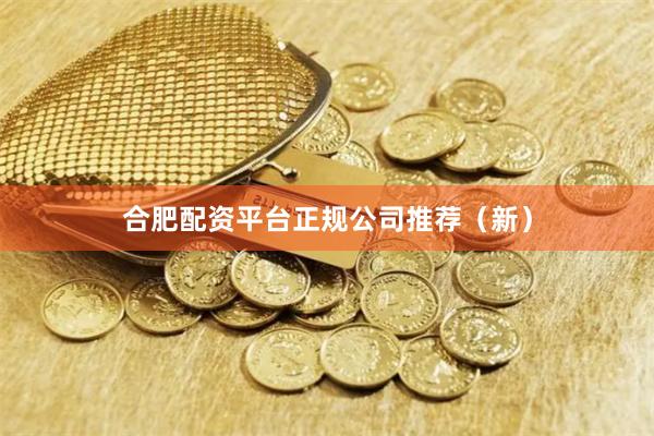 合肥配资平台正规公司推荐（新）